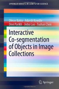 Interactive Co-segmentation of Objects in Image Collections (SpringerBriefs in Computer Science)