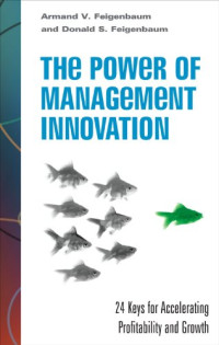 The Power of Management Innovation: 24 Keys for Accelerating Profitability and Growth (Mighty Managers Series)