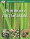 Simple Steps to Success: Bamboos & Grasses