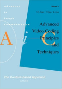 Advanced Video Coding: Principles and Techniques (Advances in Image Communication)