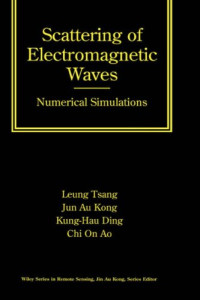 Scattering of Electromagnetic Waves, Numerical Simulations