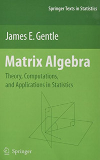Matrix Algebra Theory Computations And Applications In